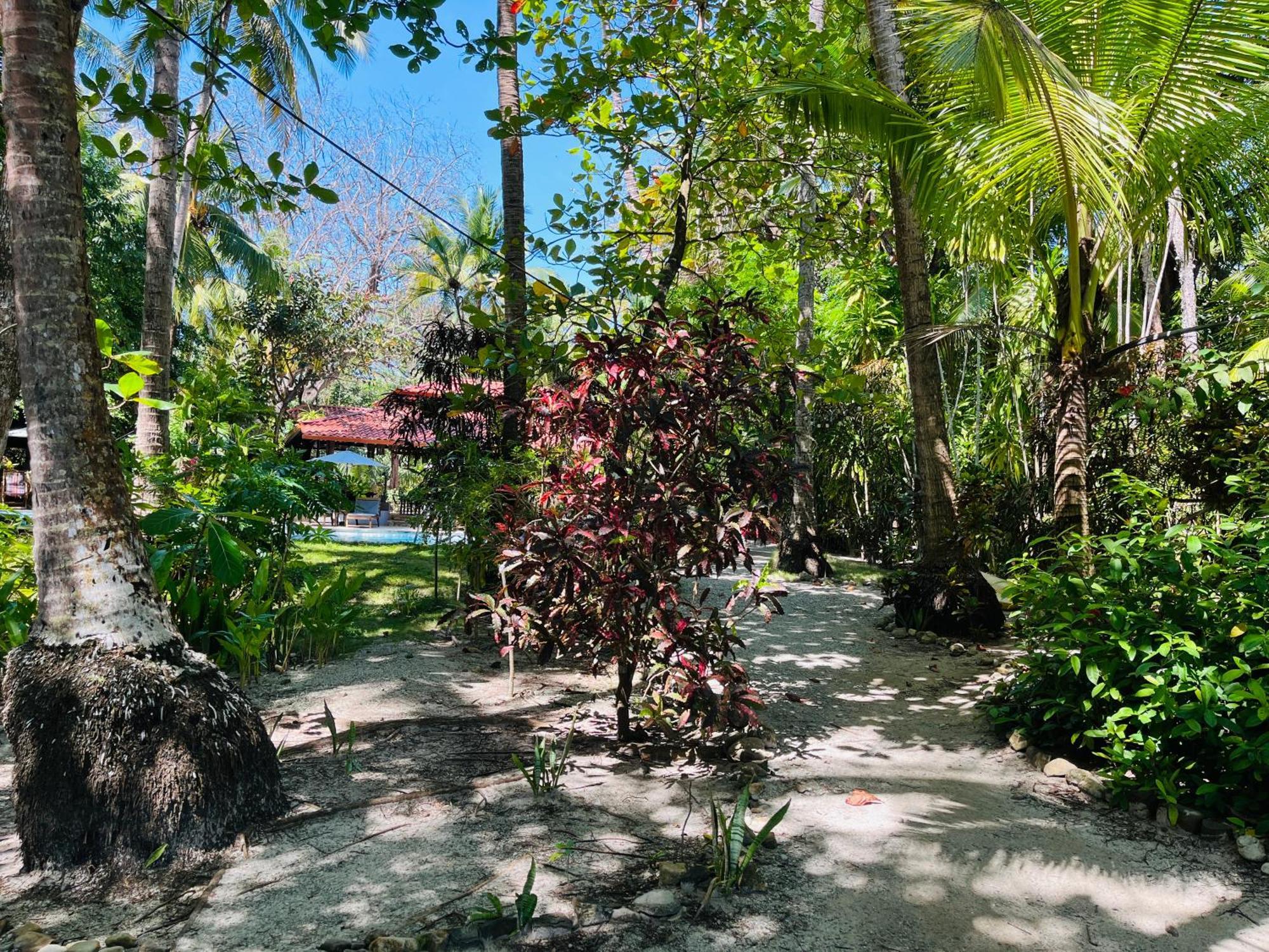 Calala Lodge Cabuya  Zewnętrze zdjęcie