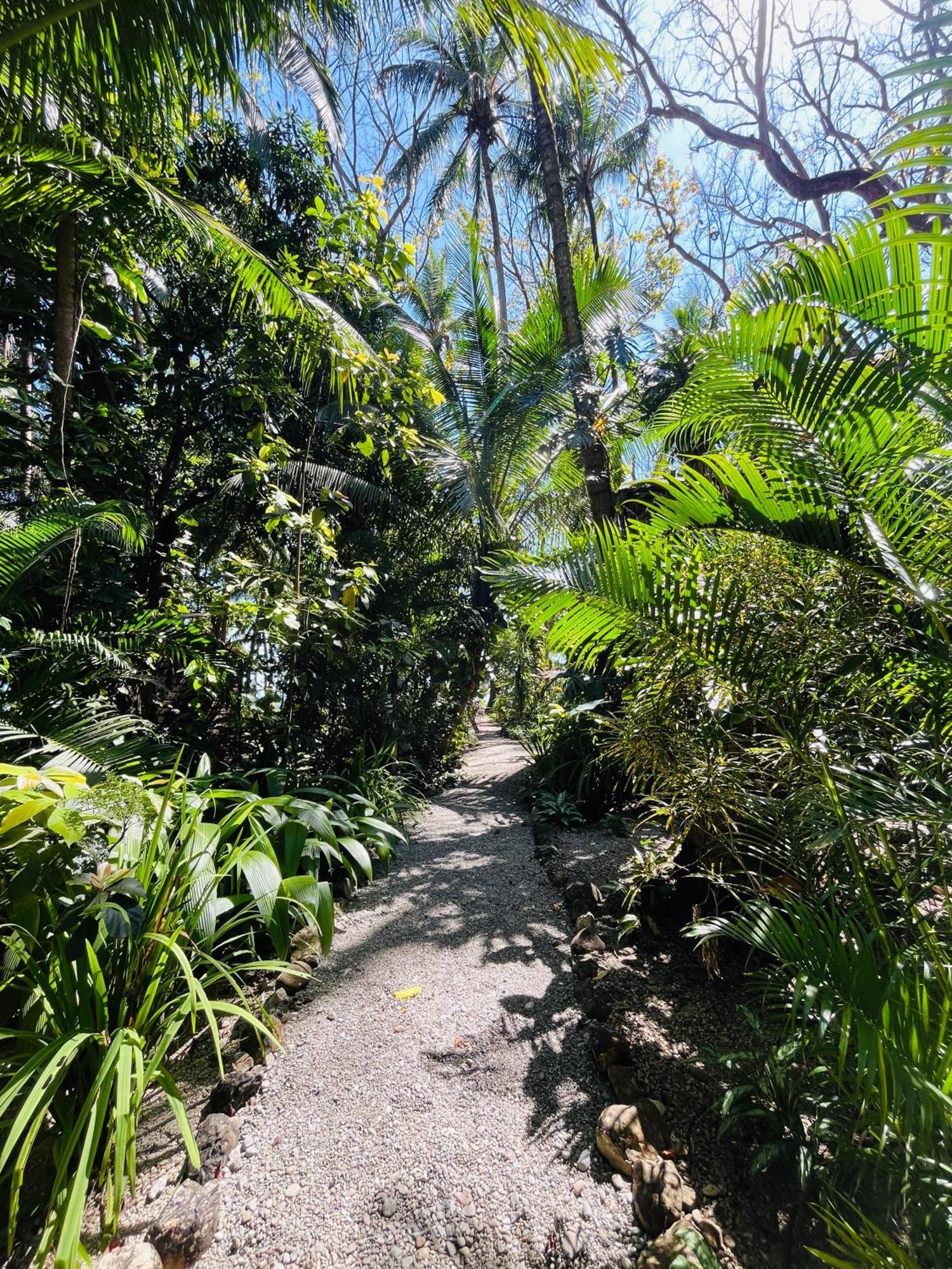 Calala Lodge Cabuya  Zewnętrze zdjęcie