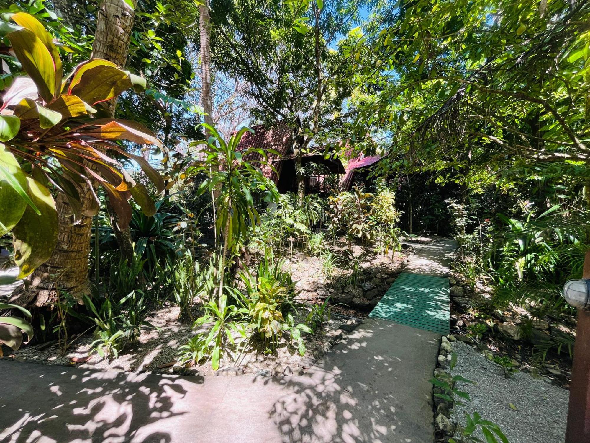 Calala Lodge Cabuya  Zewnętrze zdjęcie