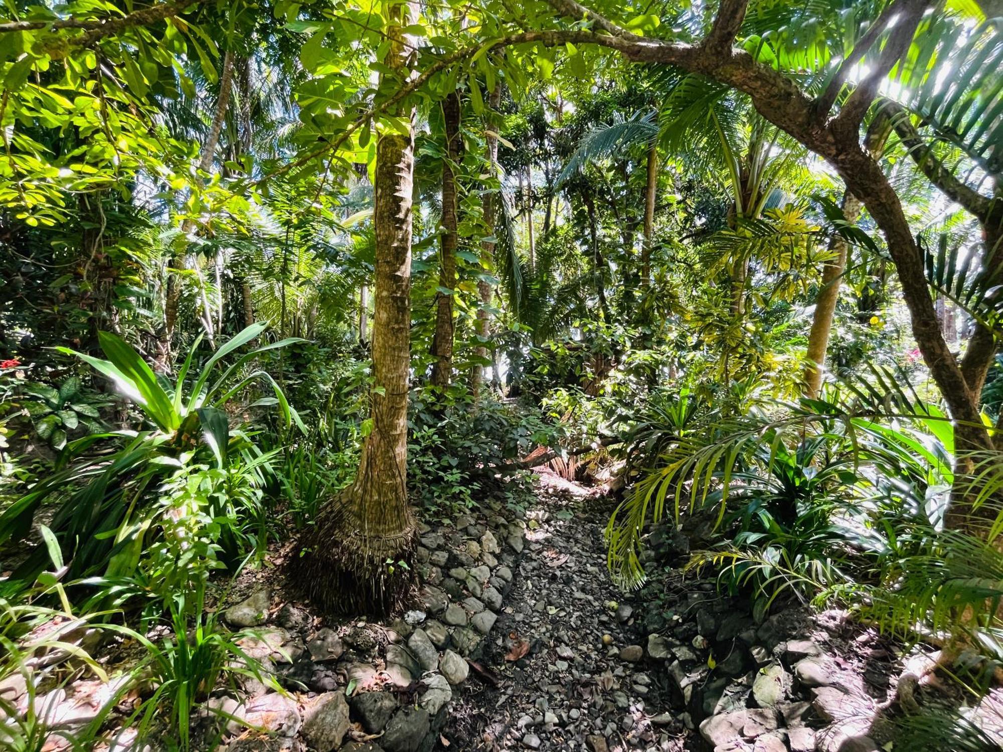 Calala Lodge Cabuya  Zewnętrze zdjęcie