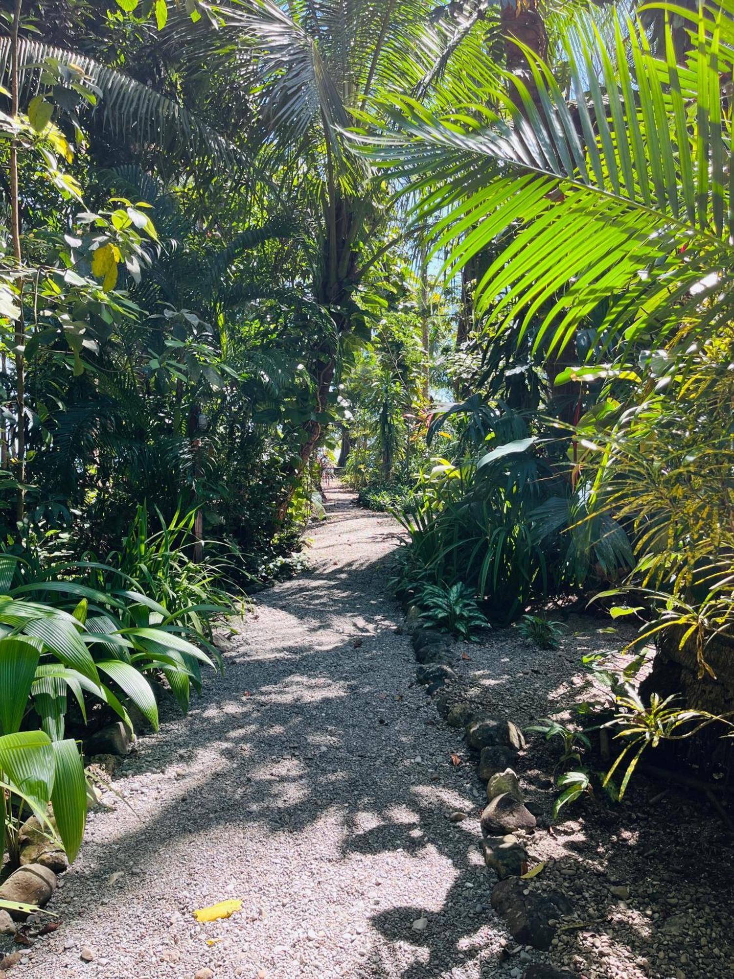 Calala Lodge Cabuya  Zewnętrze zdjęcie