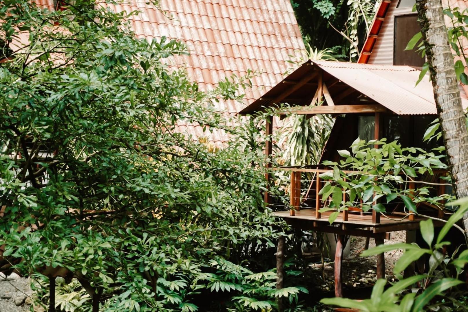 Calala Lodge Cabuya  Zewnętrze zdjęcie